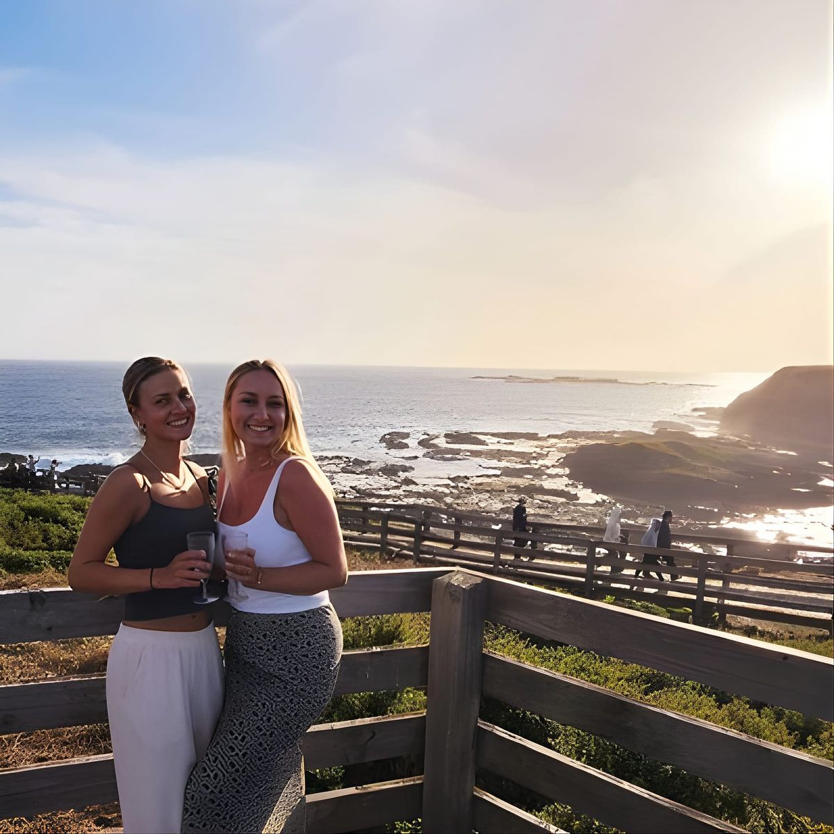 Phillip Island Penguins, Wine Tasting and Dinner from Melbourne