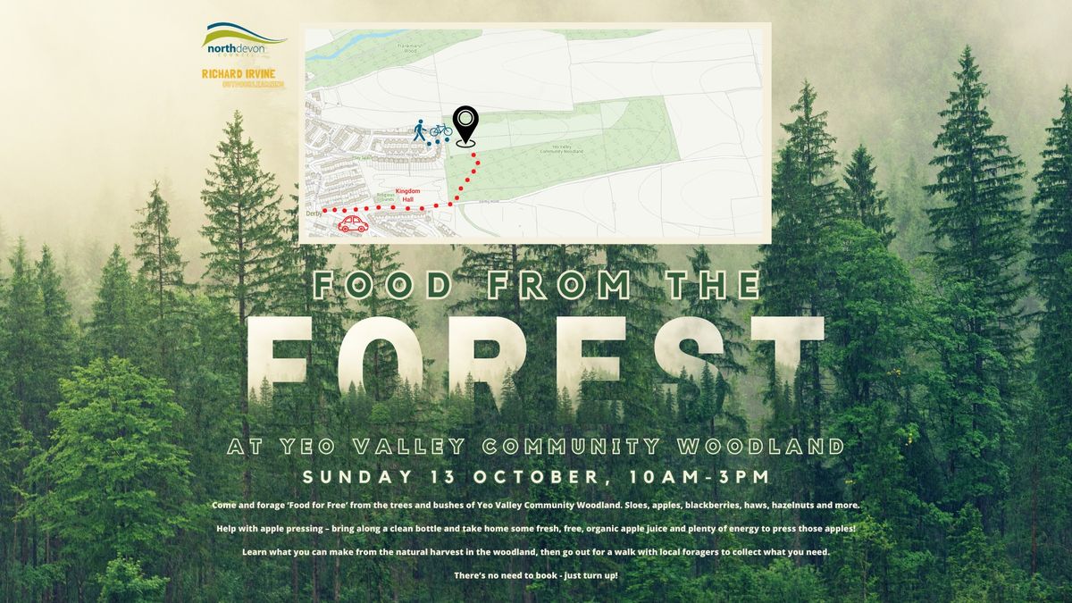 "Food from the Forest" at Yeo Valley Woodland