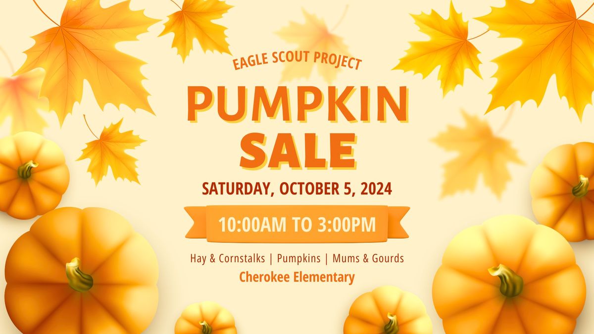 Boy Scout Pumpkins Sale