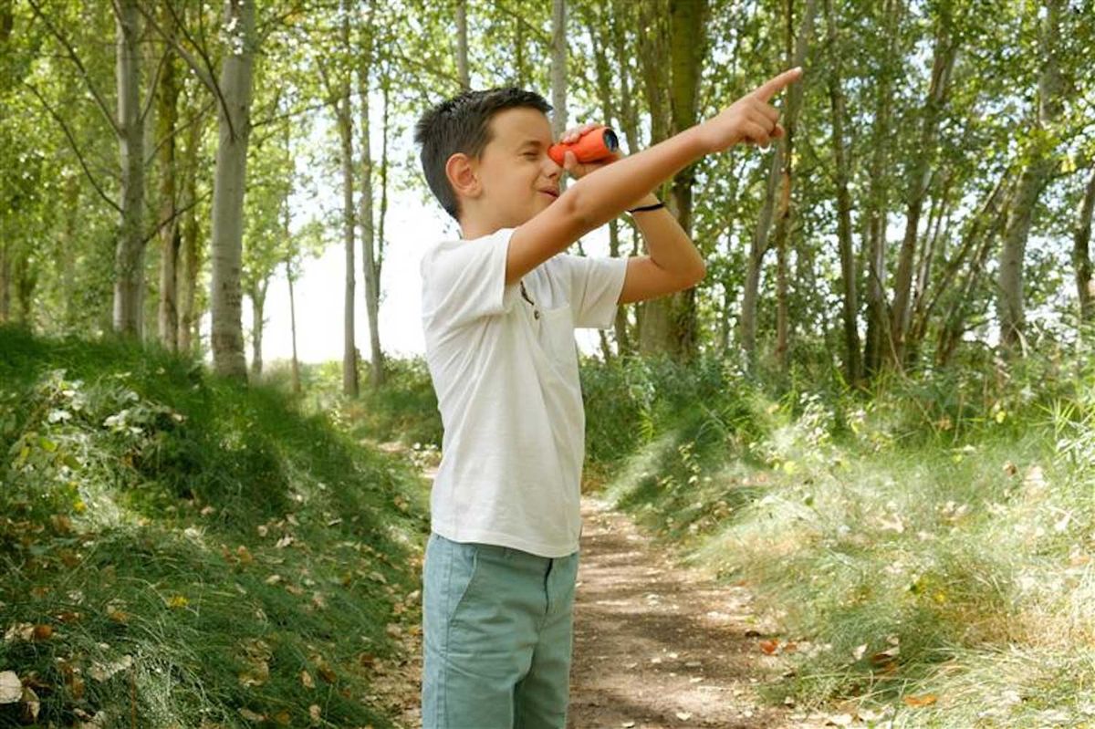 Junior Naturalists: Birds!