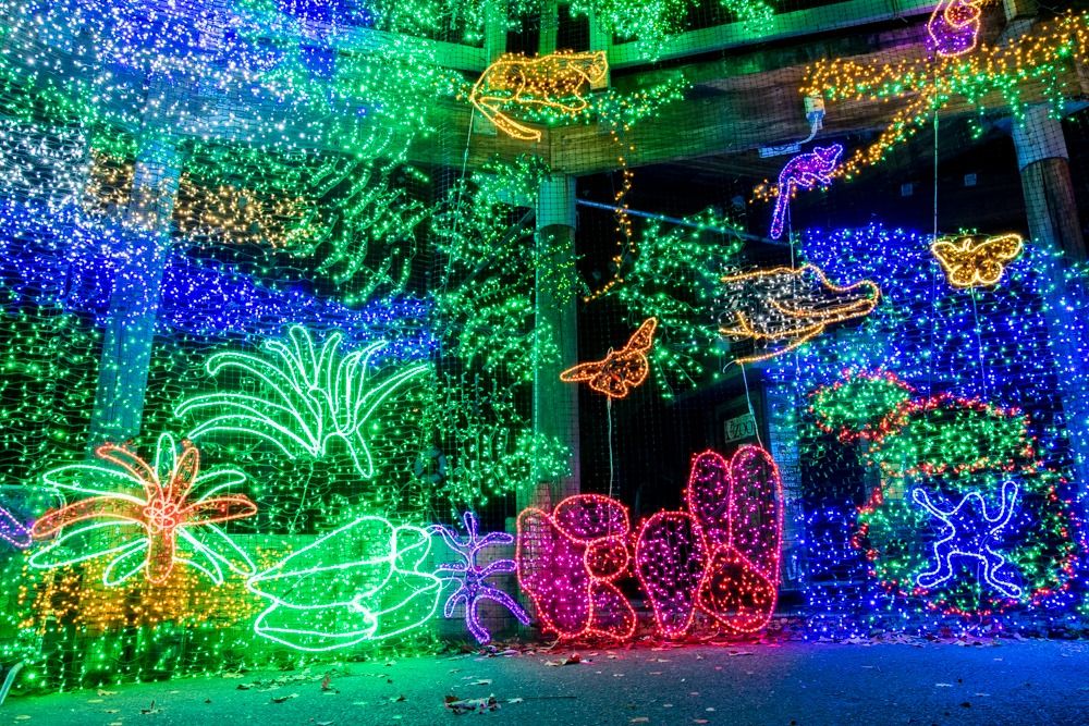 ZooLights