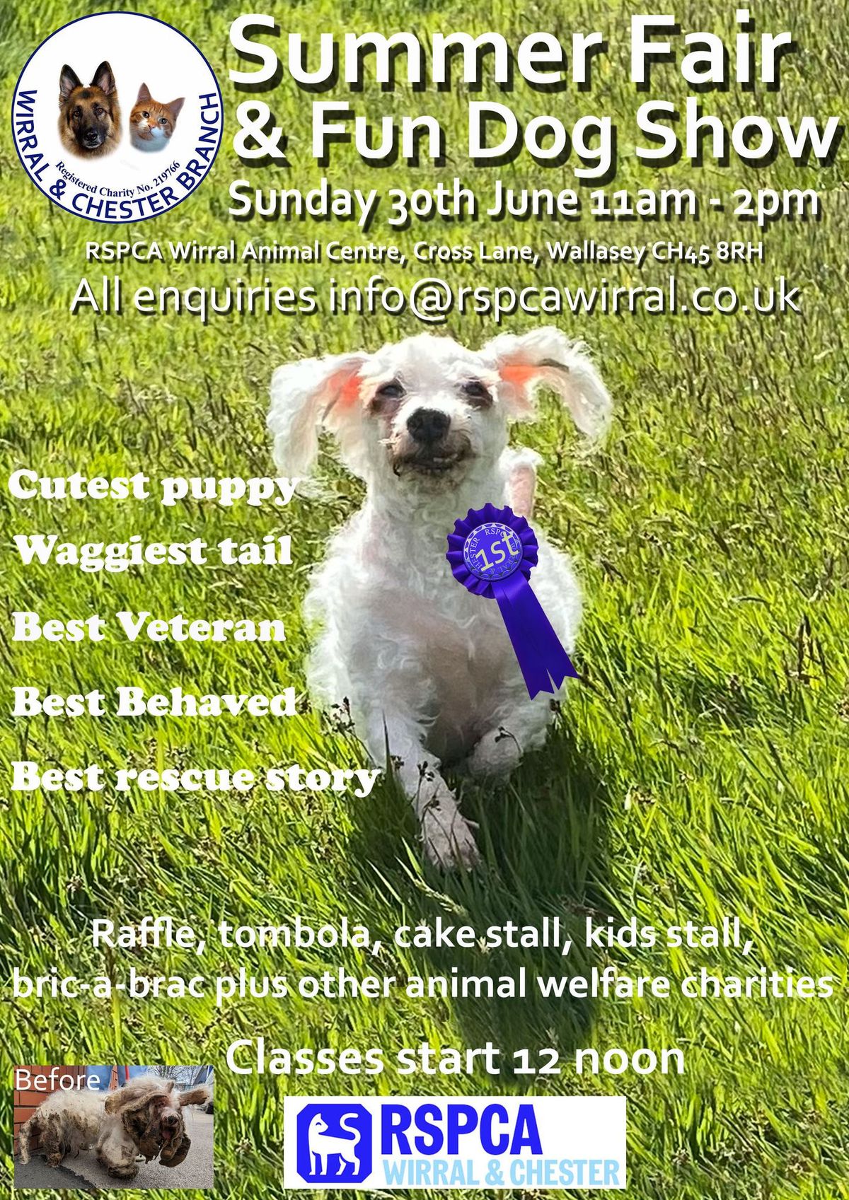 Summer Fair and fun dog show