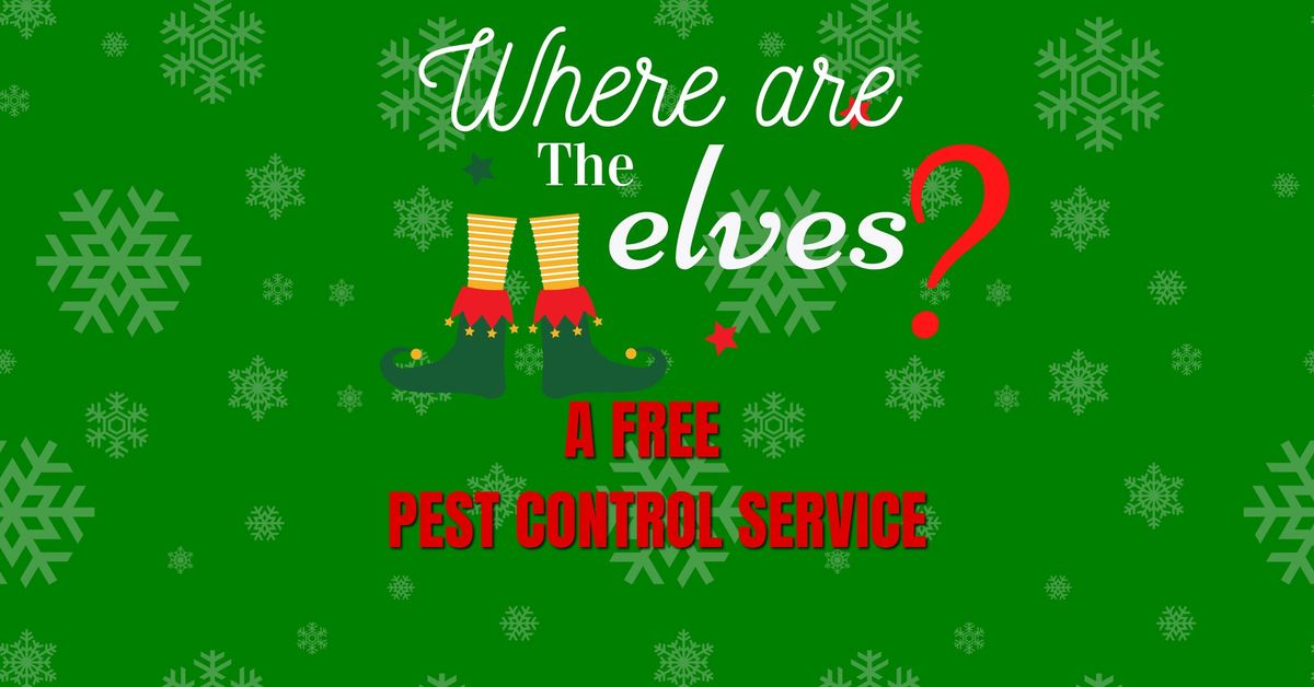 Pensacola Elf Hunt By Knox Pest Control