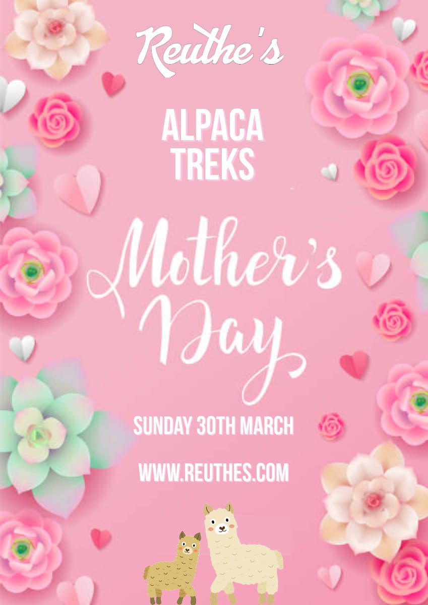 Mother's Day Alpaca Treks