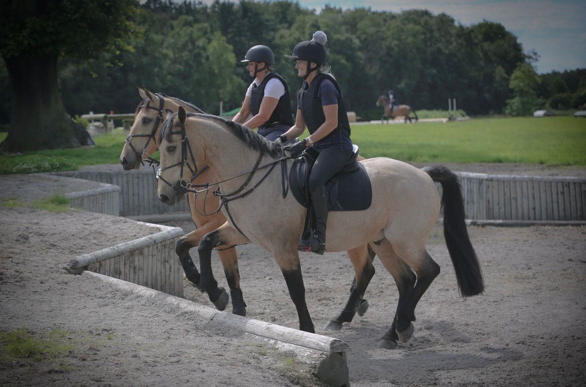 Somerford July 3 phase camp 