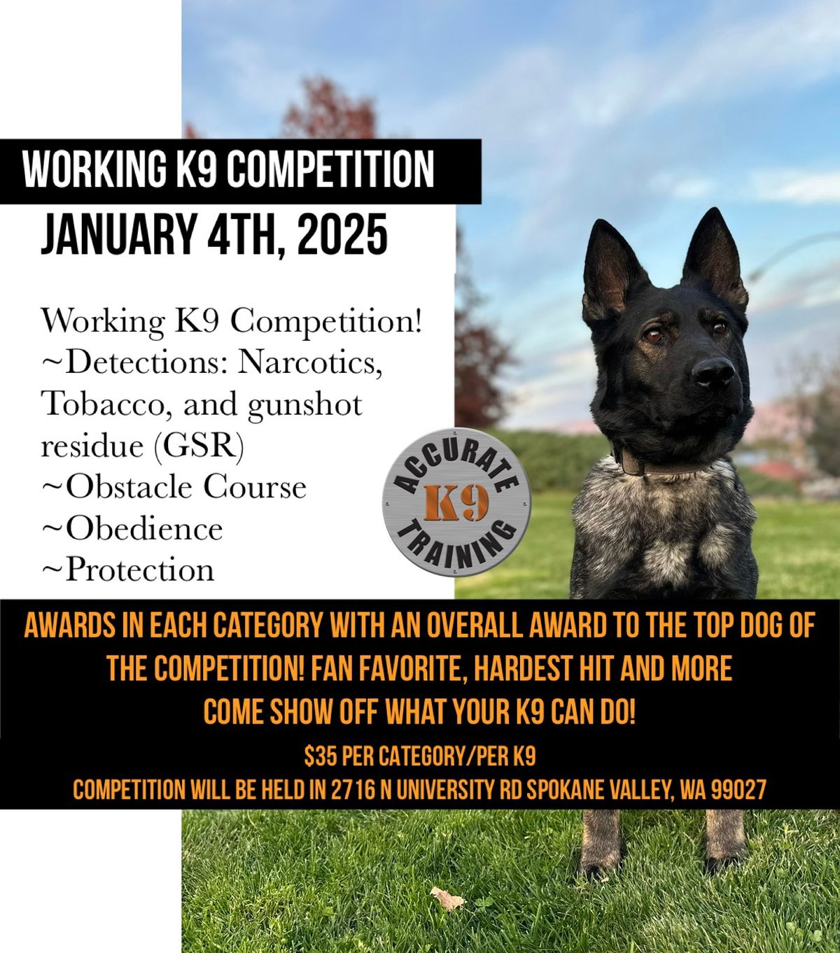 Working K9 Competition