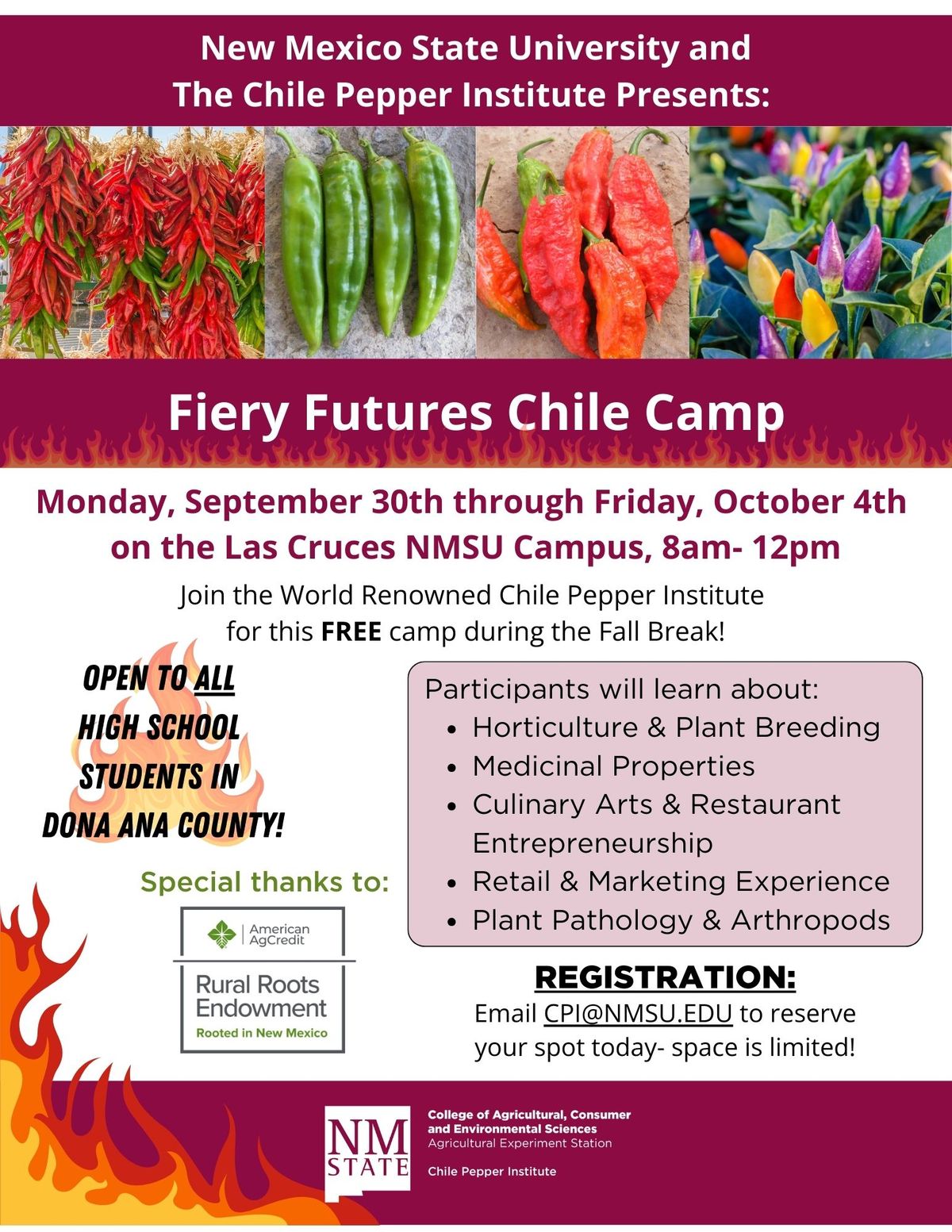 Fiery Futures Chile Camp