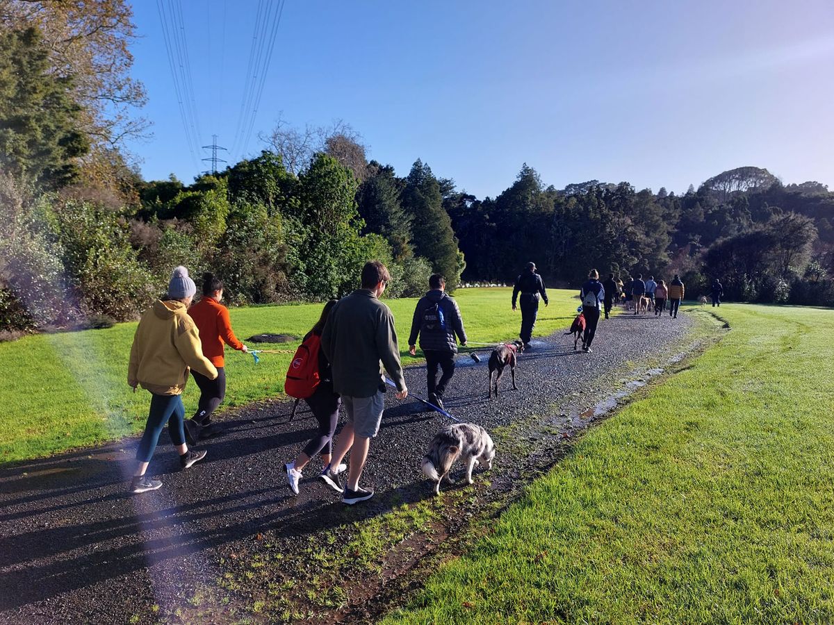 May Community Walk - Christchurch