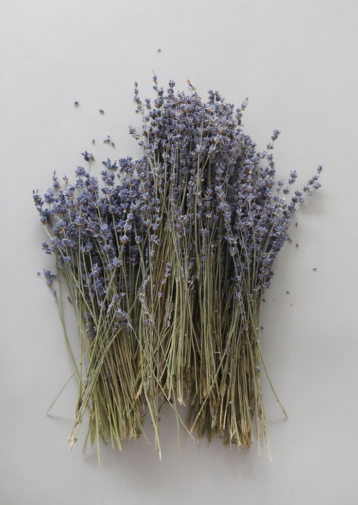 Rose Farm Garden Lunch + Learn: Lavender, Oh That Sweet Smell