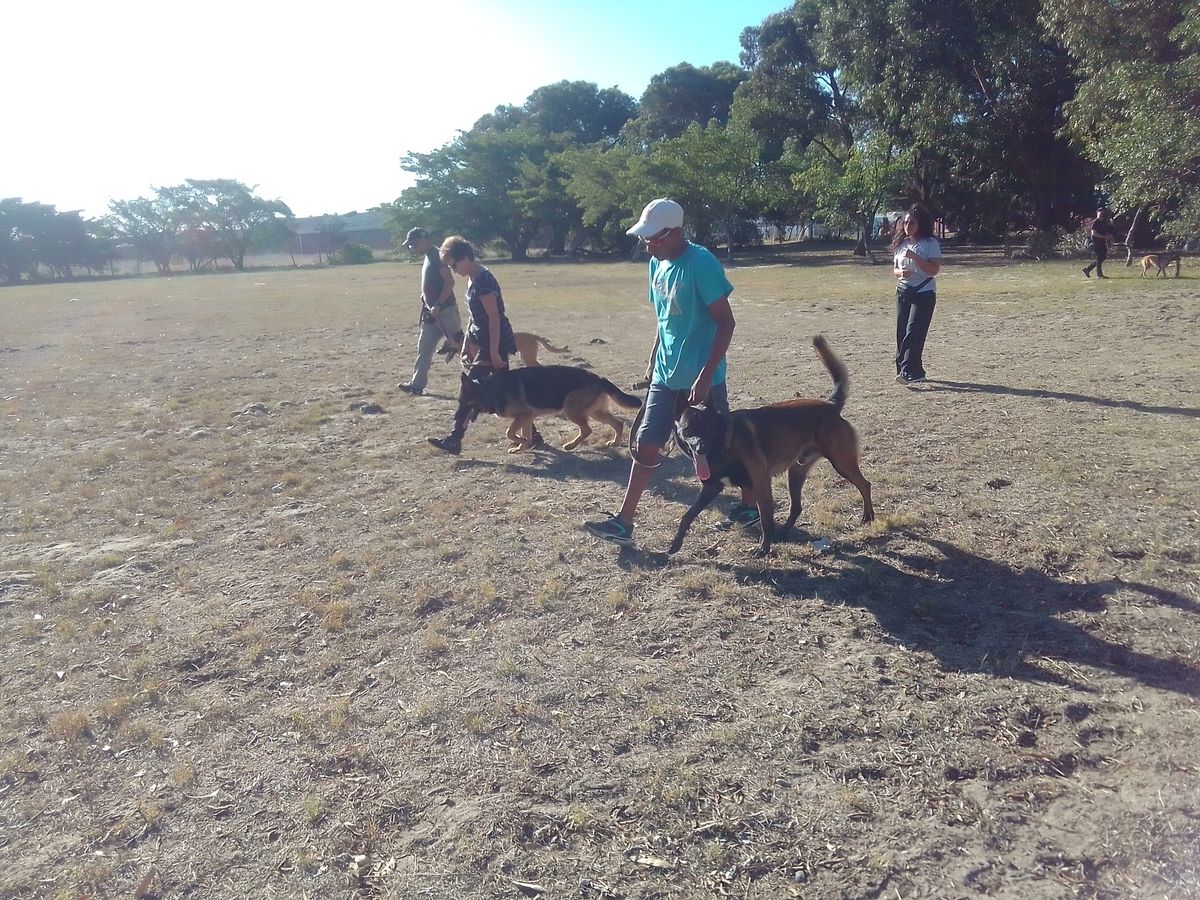 Spring Training Semester 2025, K9 Training Center and Kennels, Gunners