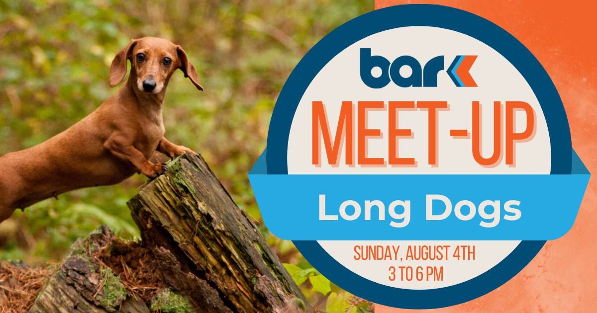 Breed Meet-up: Long Dogs