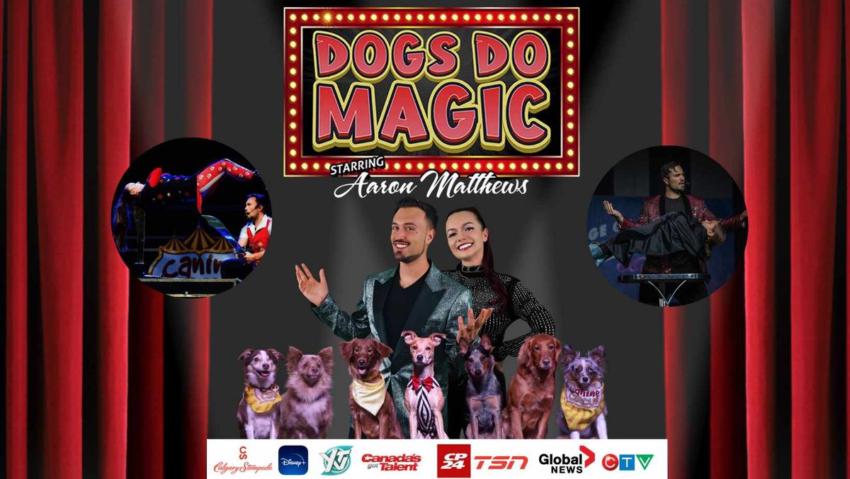 Dogs Do Magic