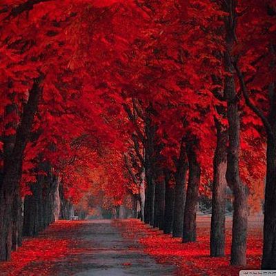 Red October Events