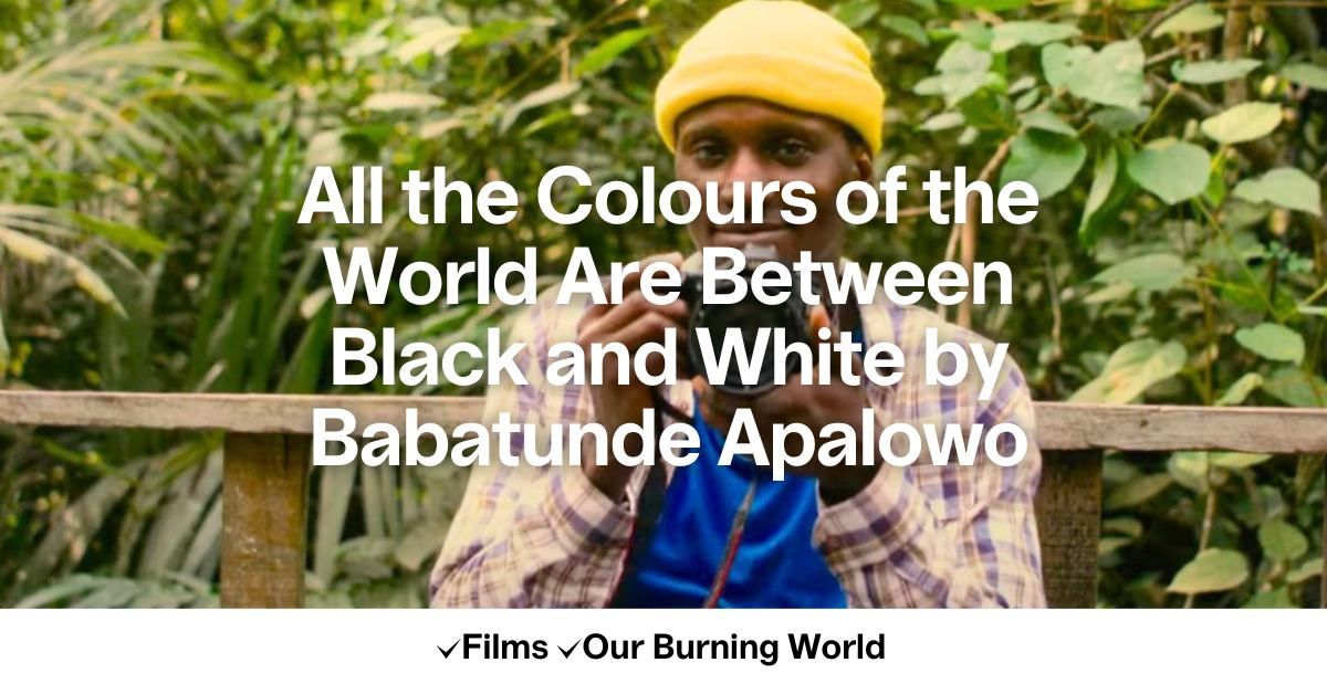 All the Colours of the World Are Between Black and White by Babatunde Apalowo