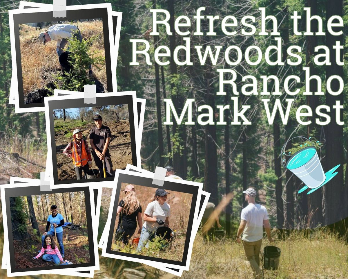 Refresh the Redwoods at Rancho Mark West 