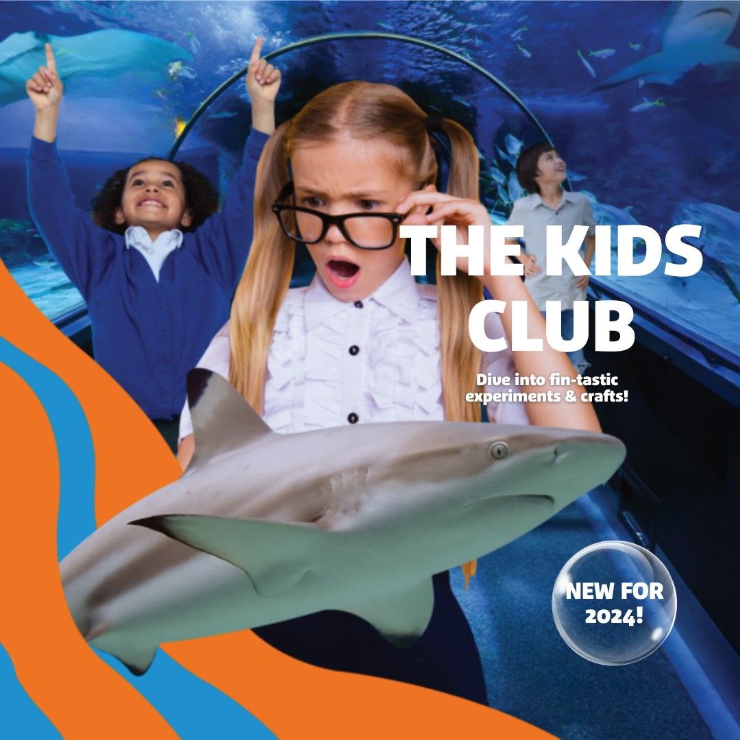 The Kids Club Adventures