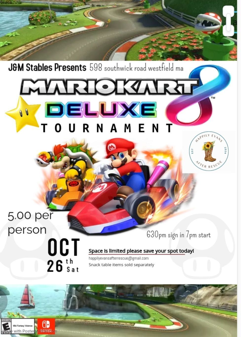 MarioKart for a great cause (horse rescue)