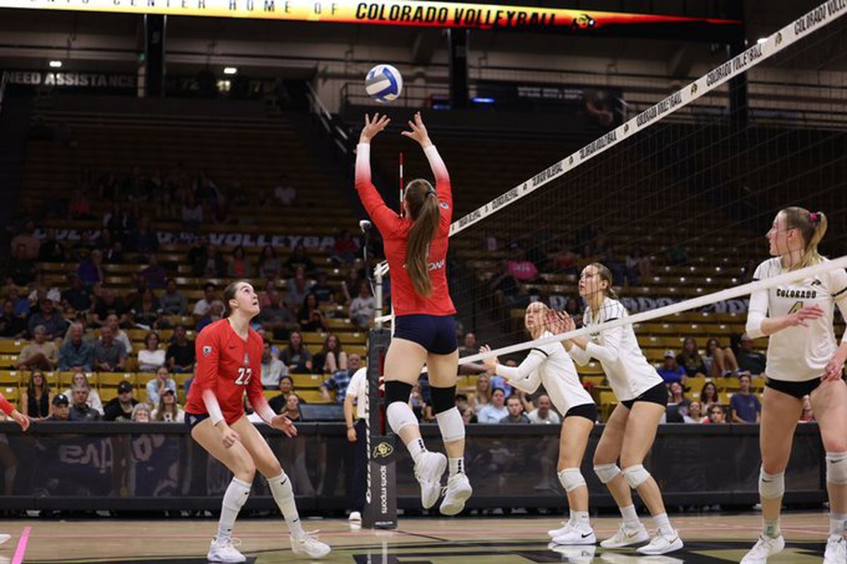 Colorado Buffaloes at Arizona Wildcats Womens Volleyball