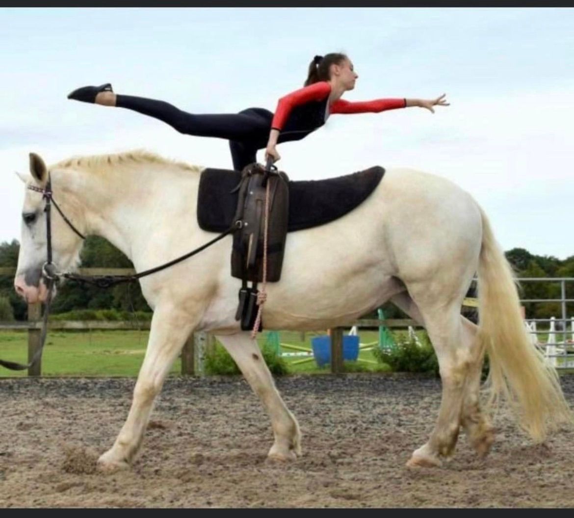 Fun Equestrian Vaulting 