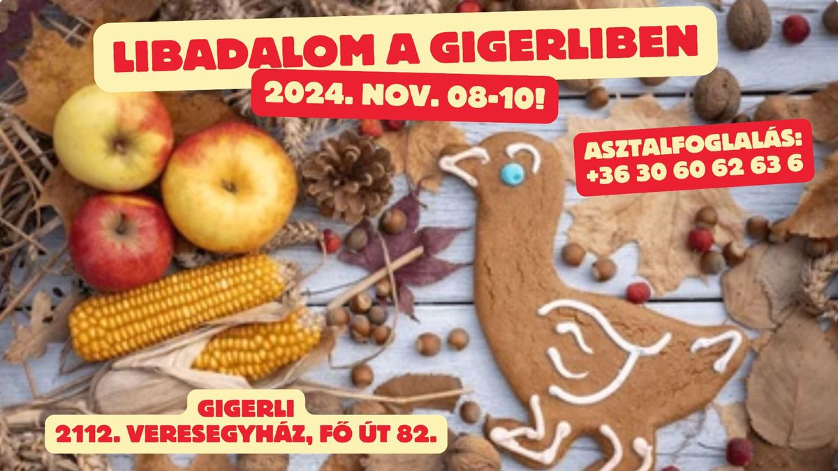 Libadalom @ Gigerli 2024.11.08-10.