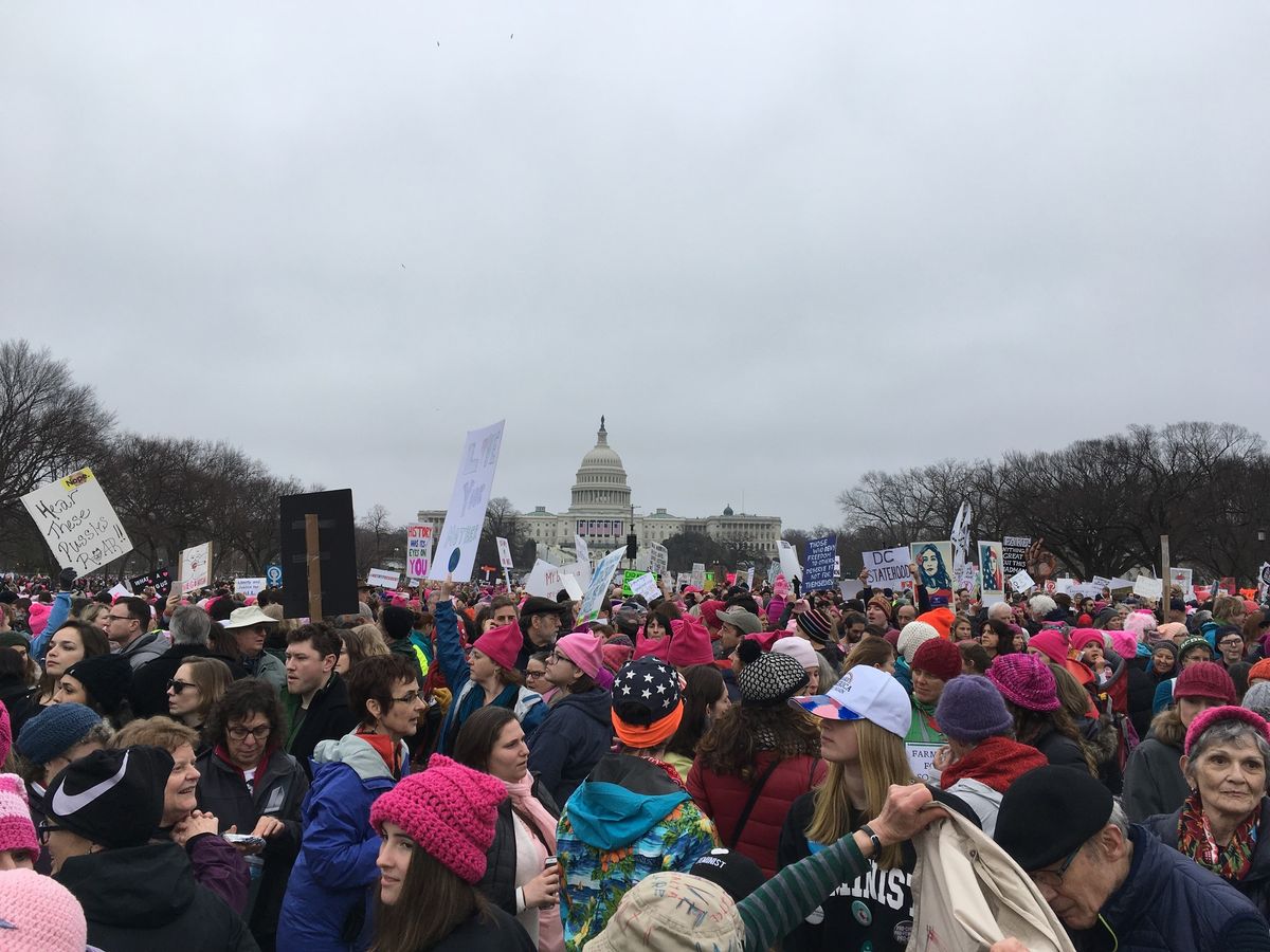 The People's March - Jan 18, 2025 at Ives Park, Potsdam