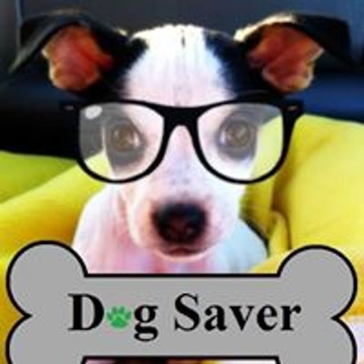 Dog Saver