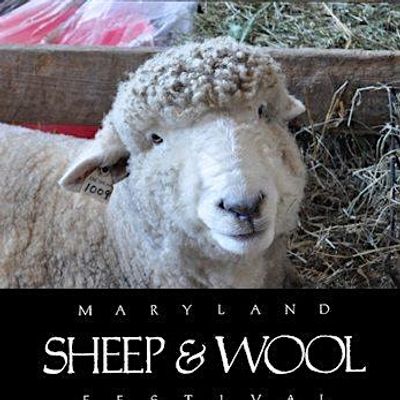 Maryland Sheep & Wool Festival