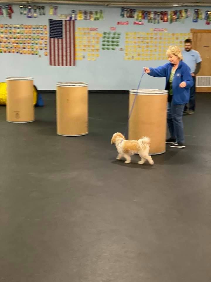 Rodeo Dog RunThrus, Sit, Stay, 'N Play, Stroudsburg, 18 July 2022