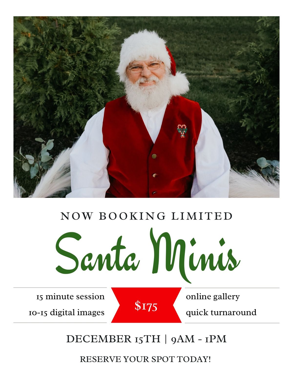 Santa Mini Sessions 