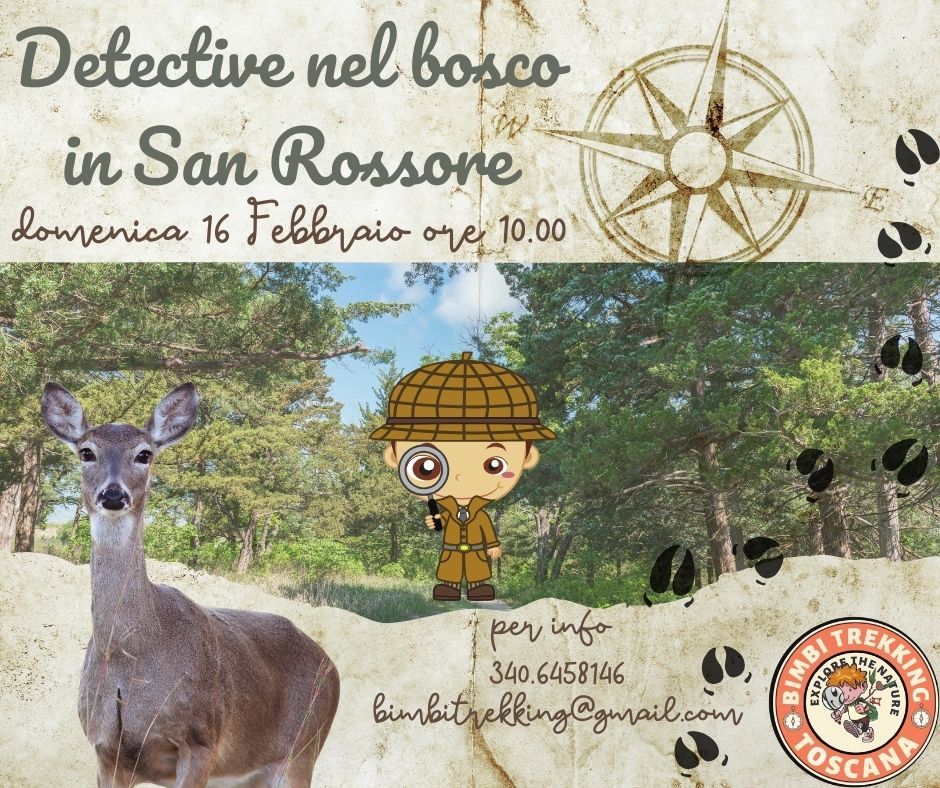 Detective nel bosco di San Rossore