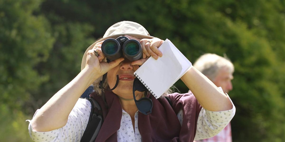 Adult Workshop: Bird Watching for Beginners - Sutton Courtenay, Saturday 29 March