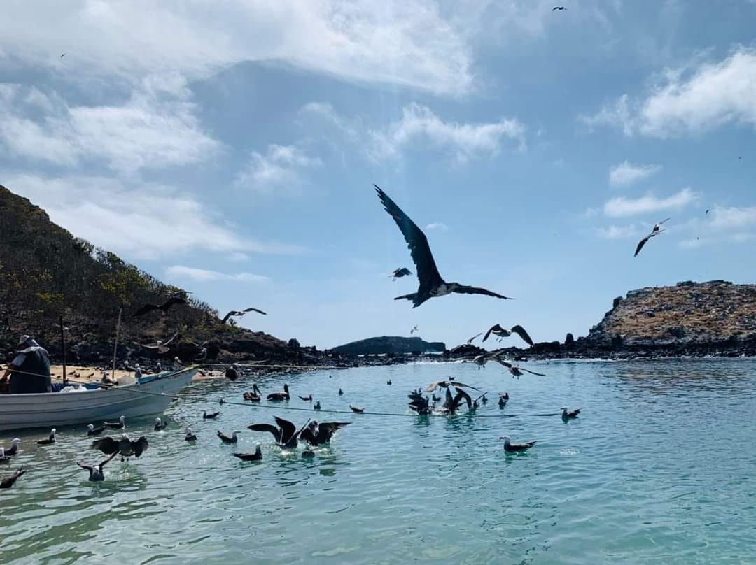 Isla Isabel las galapagos de mexico 