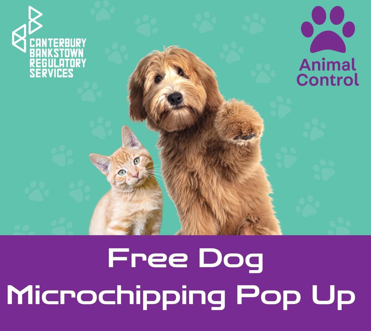 Free Dog Microchipping