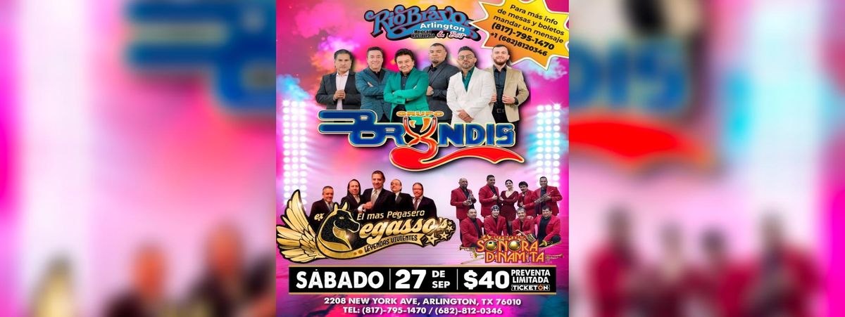 GRUPO BRYNDIS 