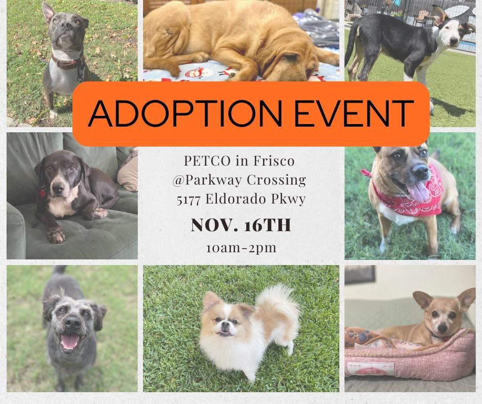 Petco Frisco Adoption Event