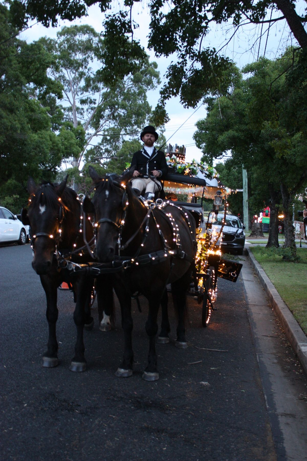 Christmas Lights Carriage Rides 2024