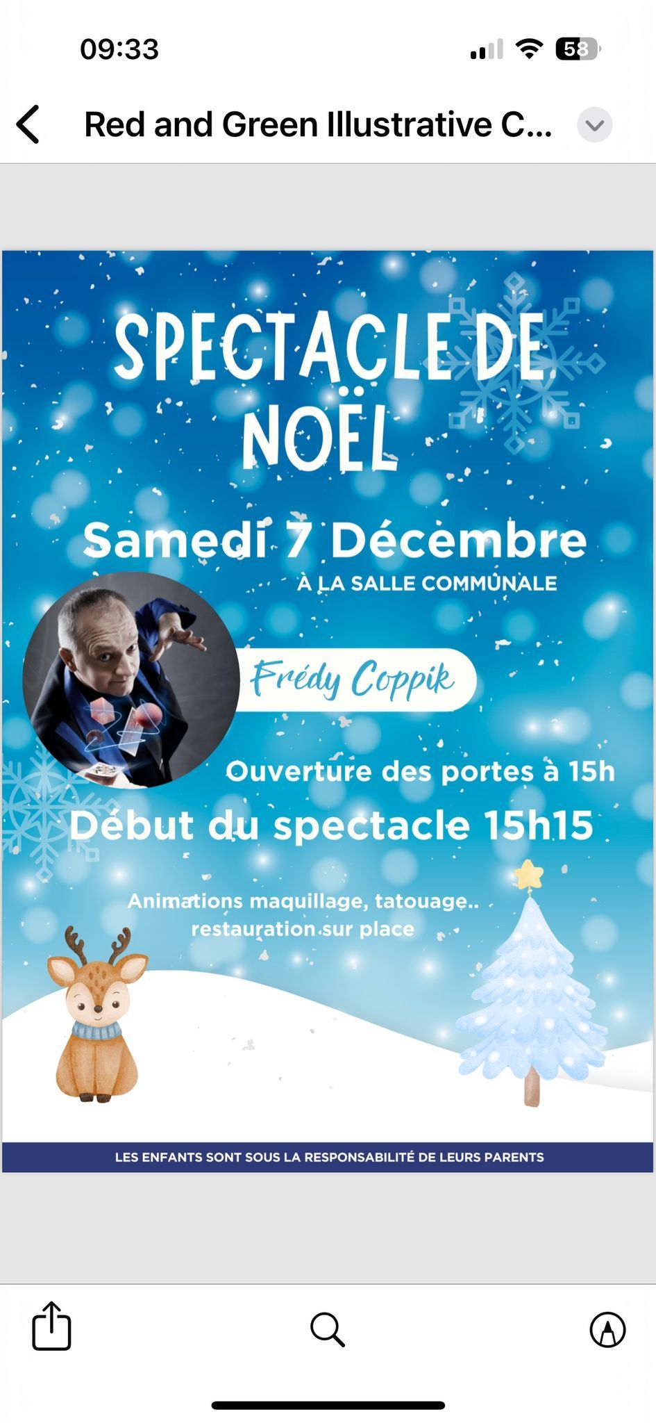 Spectacle de No\u00ebl 