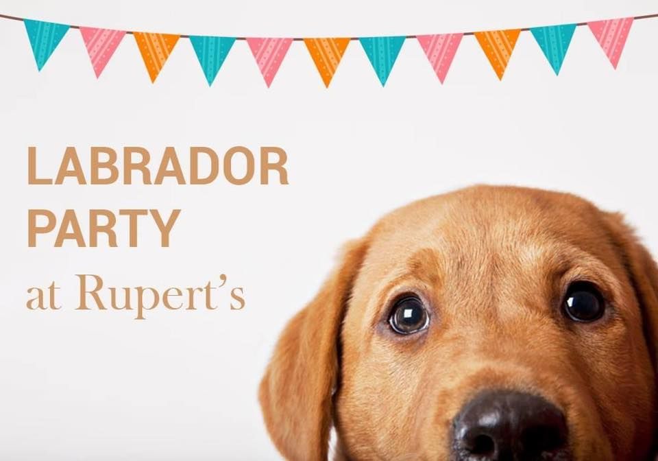 Labrador Party at Rupert's