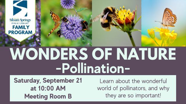 Wonders of Nature: Pollination