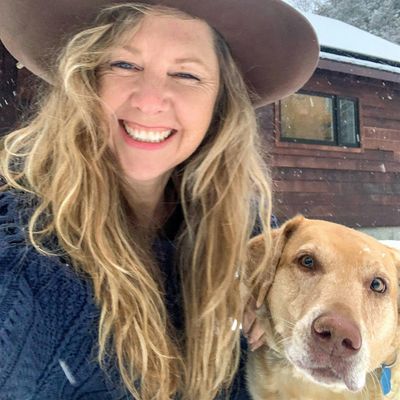 Blueberry Woods Studio