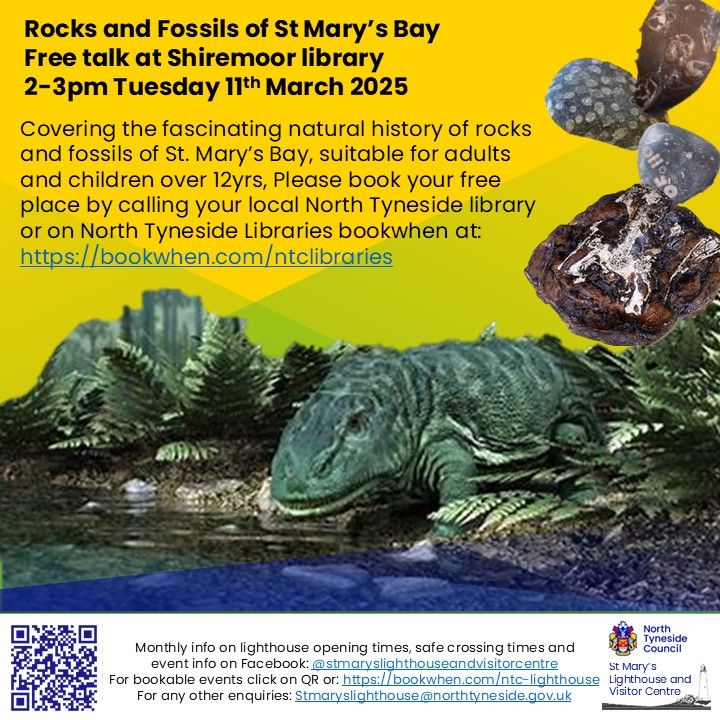 Rocks and Fossils of St Mary's Bay Free talk booking required