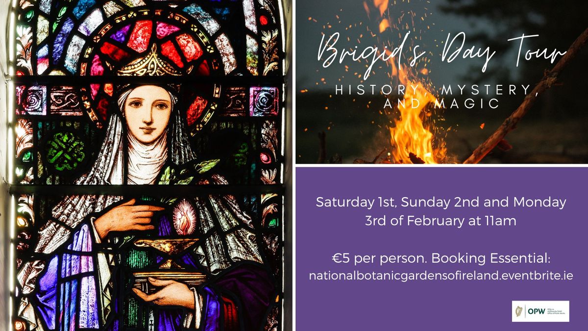 Brigid's Day: History, Mystery and Magic