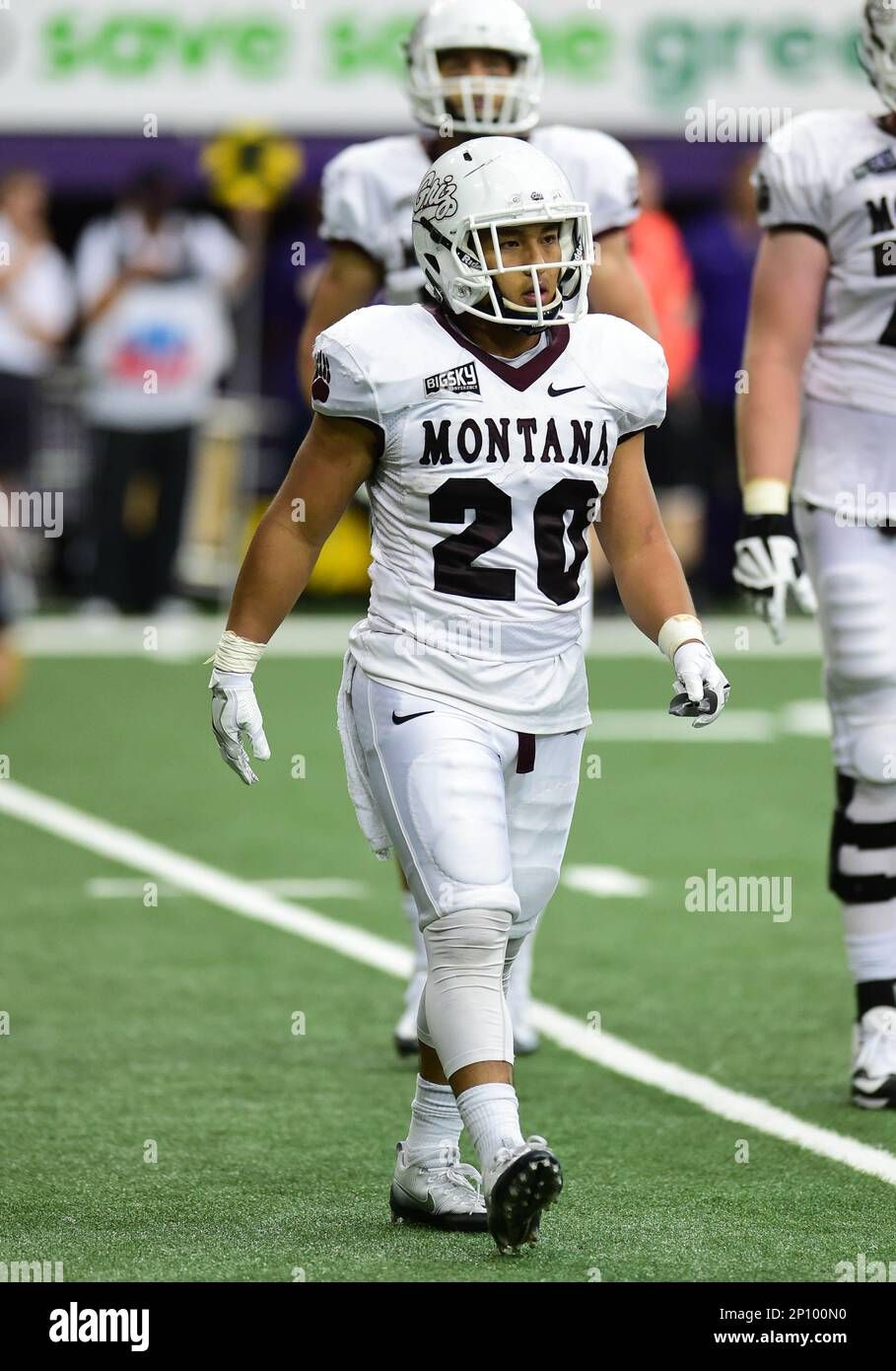 Northern Iowa Panthers vs. Montana Grizzlies