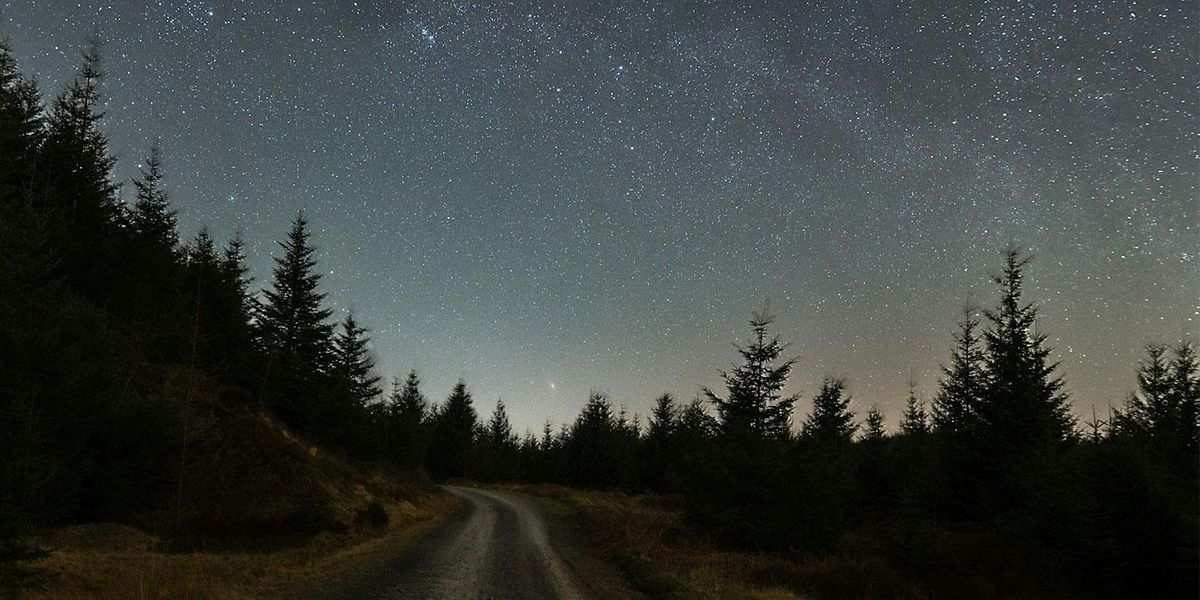 Walking Under Dark Skies