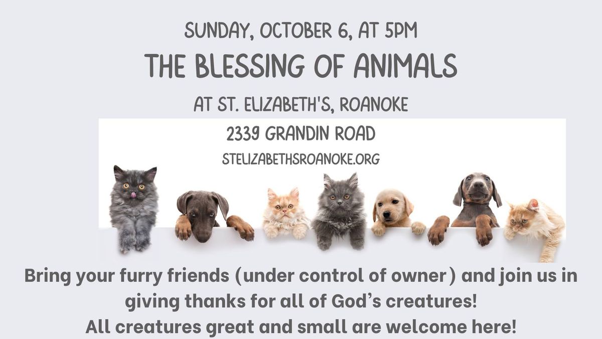 The Blessing of Animals