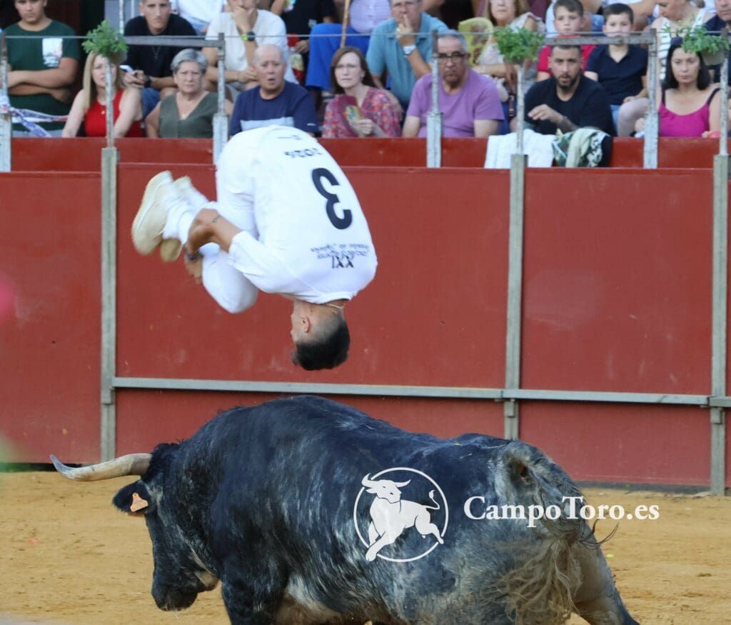 Bullfighting Madrid 2024 - Concurso de recortadores Tickets