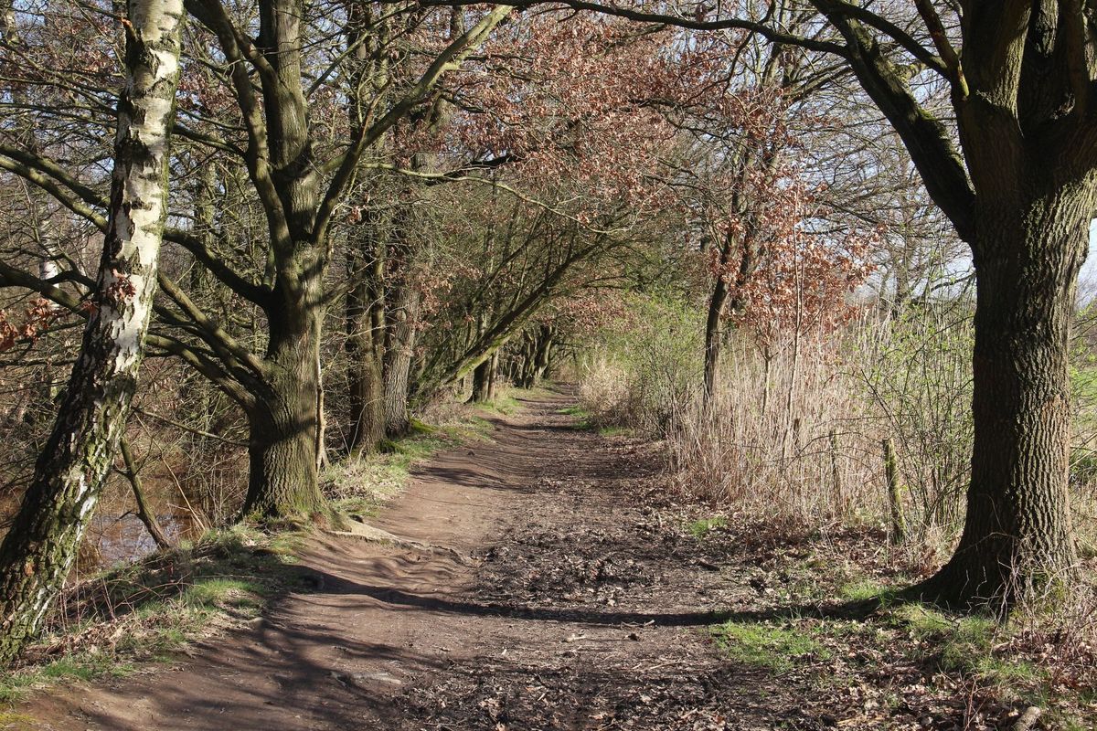 Ultra-Wandern auf dem "2. Gr\u00fcner Ring" (Teil 2 \/ Nord) am 16.03.2025 (49 km, Wanderfreunde Stormarn)