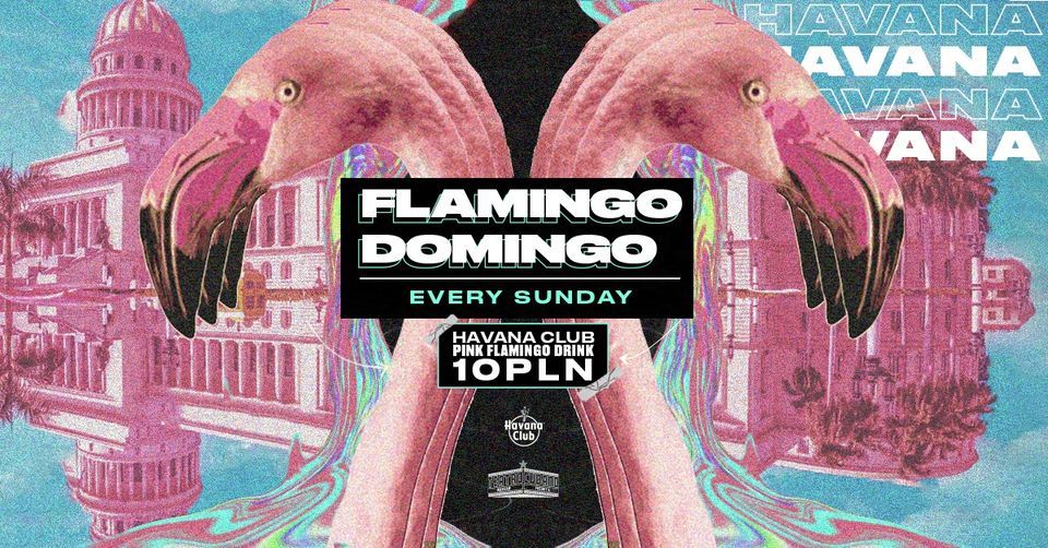 Flamingo Domingo @TeatroCubanoWarsaw 