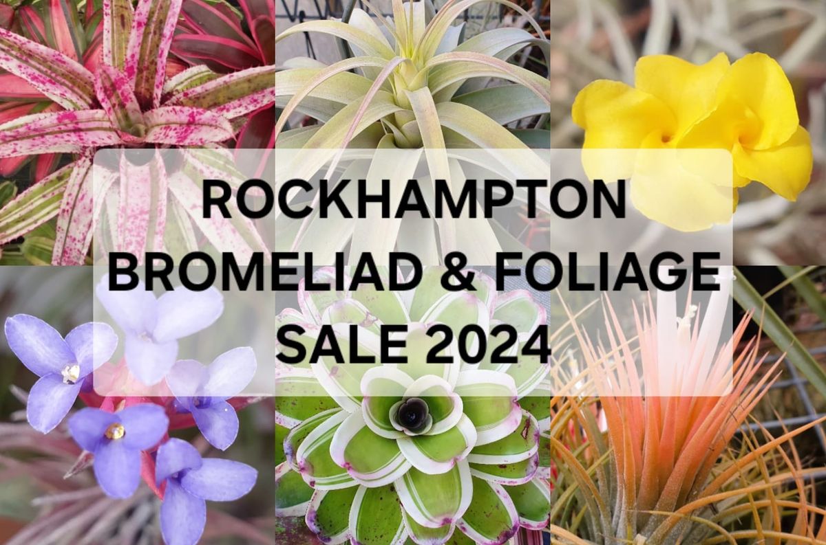 Bromeliad & Foliage Sale 2024