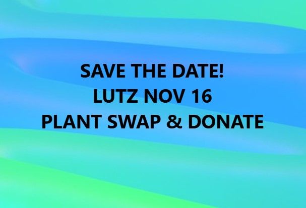 LUTZ PLANT SWAP & DONATE